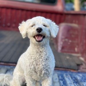 Meet your Posher, Emma